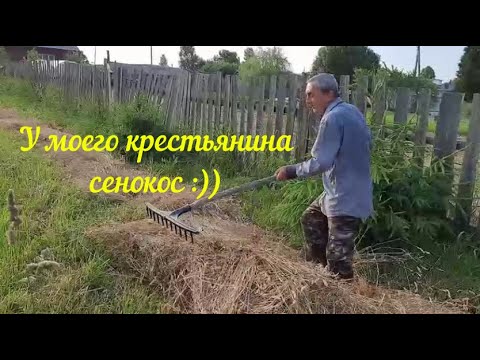САМЫЙ ОБЫЧНЫЙ ВЕЧЕР