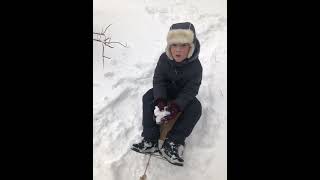 IMG 8665