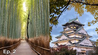The Top Photography Spots In Japan