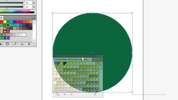 Spot and Process Colors
