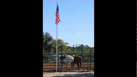 Blackwater Cattle Co. "The Cattlemen's Kind" Annua...