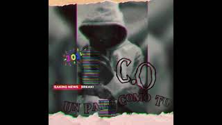 El Coronao  - Un Palo Como Tú ( Audio Oficial ) #repaton #viral  #tiktok