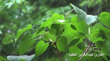 تلاوة حجازية رائعة من سورة نوح للقارئ عبدالعزيز الفقيه