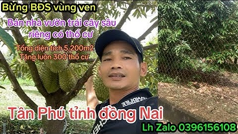 gia đình Rất khó khăng cần bán gấp lô đất nhà vườn trái cây có thổ cư giá gần mọi tiện ích giá rẻ 