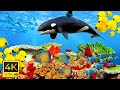 Underwater World 4K ULTRA HD – Marine Life, Sea Animals and Coral Reef