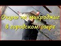 Ловля окуня на микроджиг в городском озере