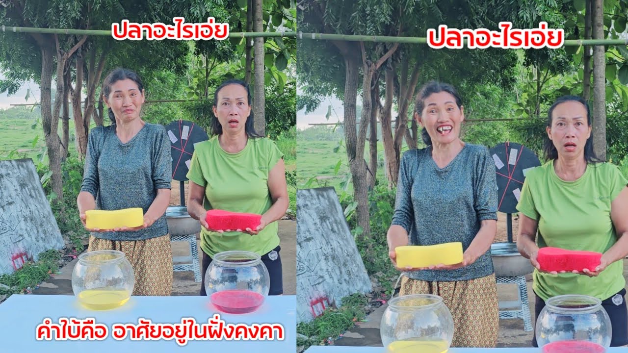 ปลาอะไรเอ่ย #ยายแปยายเลี่ยน