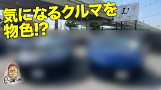 【コラボ】ロペライオで