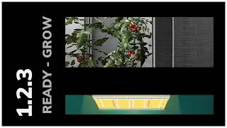 123 ALL SYSTEMS GROW 🌱 Prefect