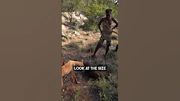 Hunter Gatherers Catch Baboon 
