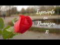 Experiente cu Dumnezeu (10) Adrian Jurj  #experientesupranaturale