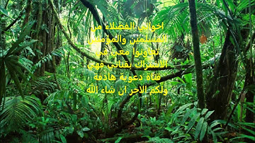 سورة الحاقة برواية البزي عن ابن كثير.مشاري العفاسي
