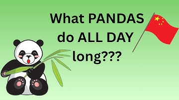 What PANDAS do ALL DAY long???