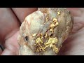 التنقيب عن الذهب الخام بدون اجهزة تتبع الصخور الرسوبية السطحية التي تتكون عليها عروق الذهب الخام