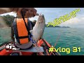 MENGGASAK  DI PULAU PANGKOR | INFLATABLE BOAT FISHING VLOG| #VLOG31