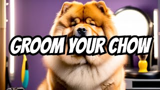 Stubborn Breed: Grooming ChowChow at Home