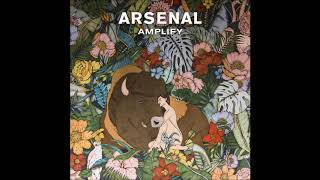 Miniatura del video "Arsenal - Amplify [radio edit]"