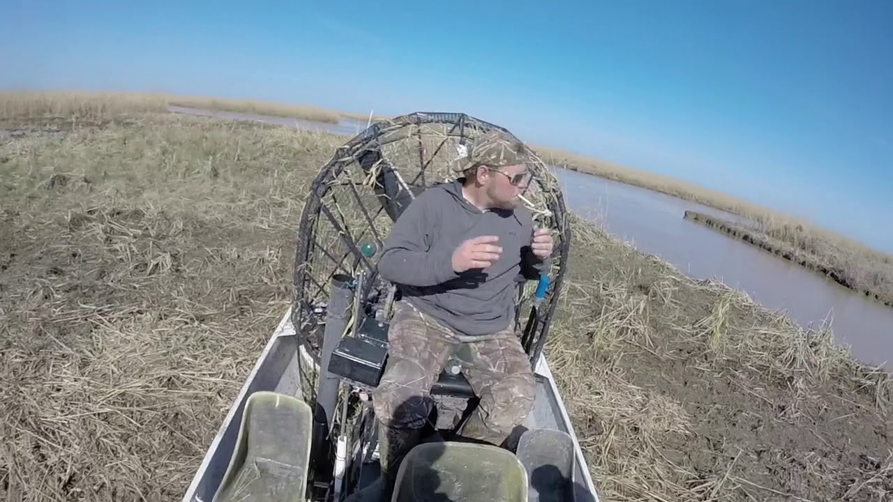 Airboat Hog Hunting Louisiana YouTube