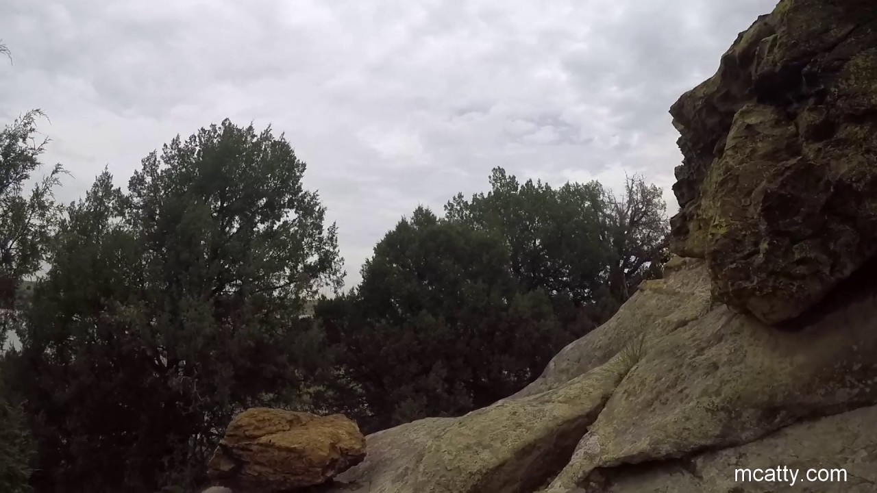 Walking the Trails with Bella YouTube