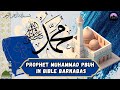 Shocking truth prophet muhammad in the bible barnabas  islamgram official