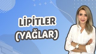 6.Ders Lipitleryağlar Seda Hoca Biyoloji