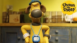 Shaun the Sheep 🐑 Bitzer in Charge - Cartoons for Kids 🐑 Full Episodes Compilation [1 hour]