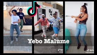 Yebo Malume One By One - Tiktok Challenge