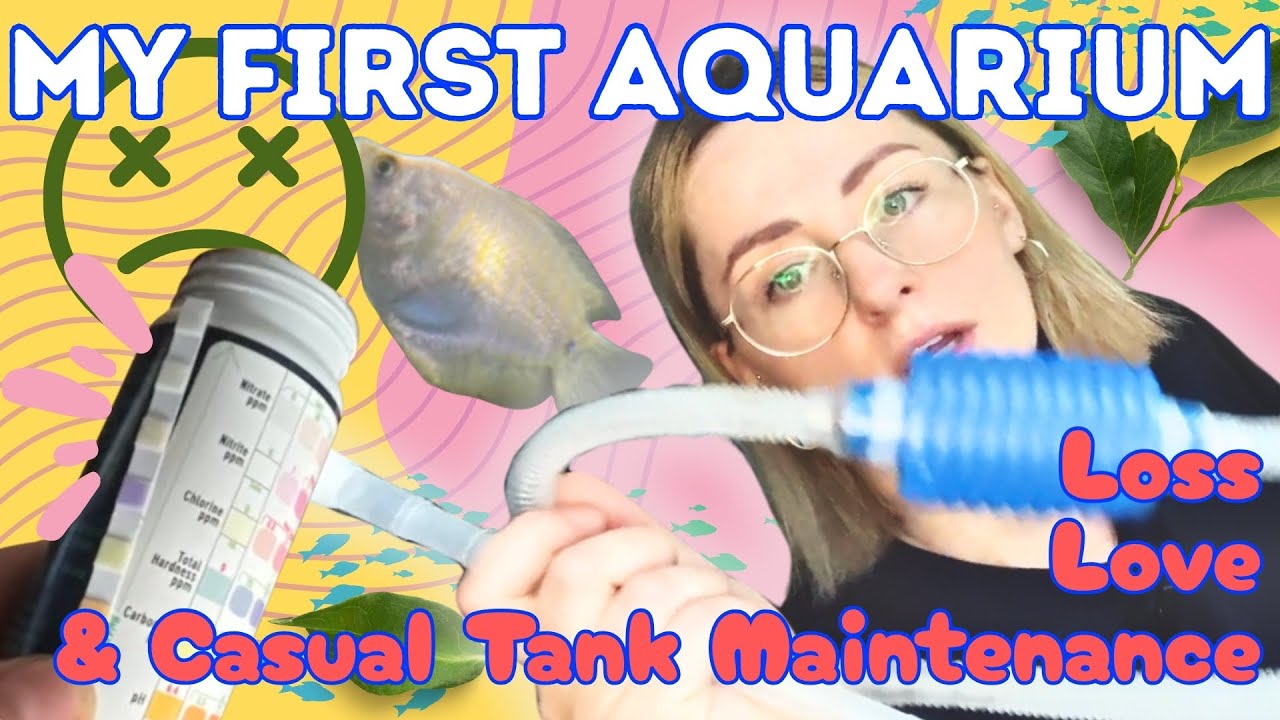 My First Aquarium Tank Tale - Loss, Lessons & Cleaning Day | Beginner Fishkeeping Advice