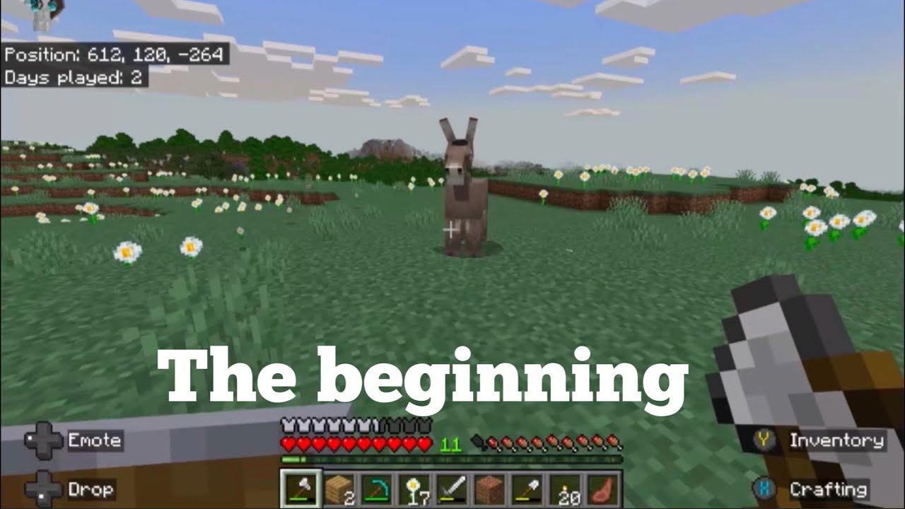 The perfect start to my new Minecraft survival world - YouTube