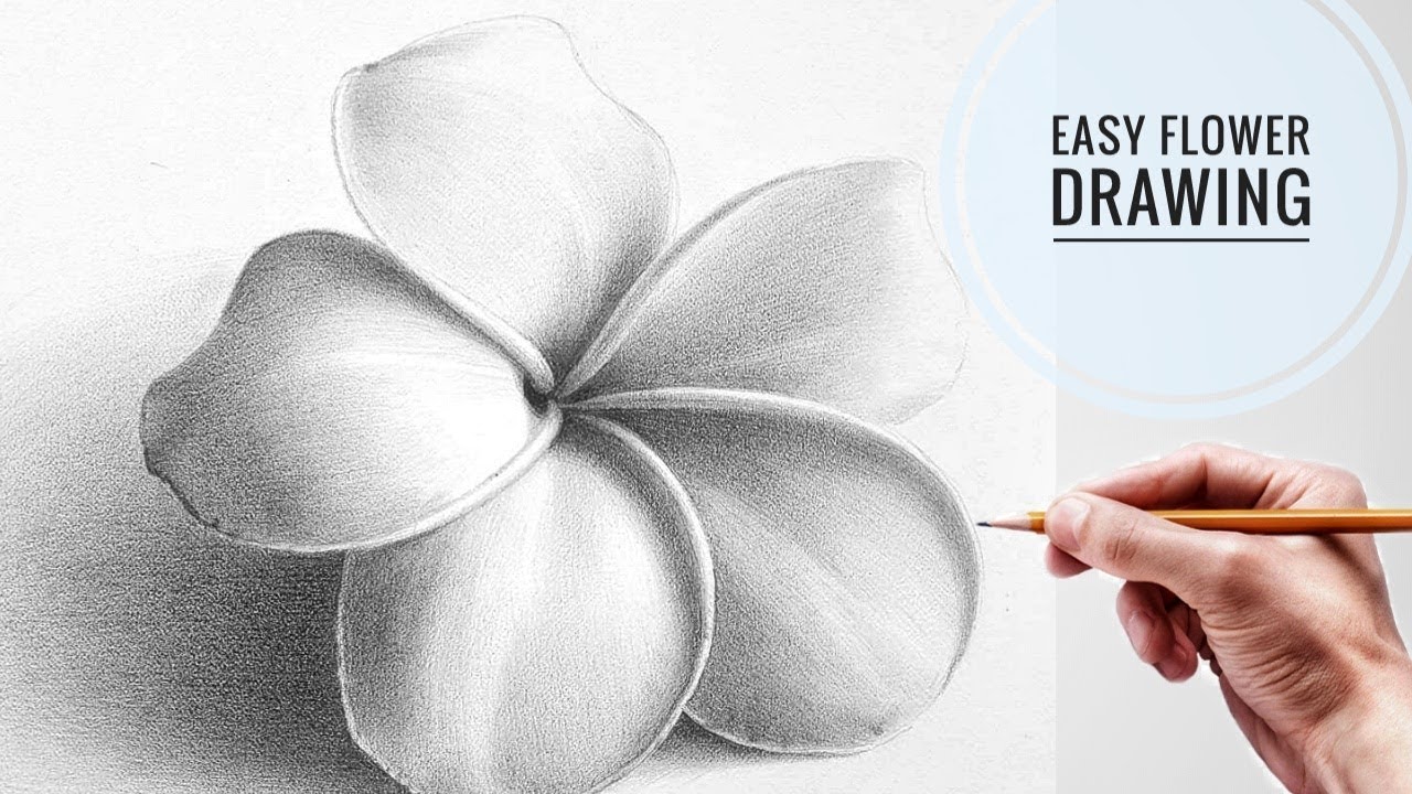 How To Draw A Flower With Pencil Step By Step Easily For Kids