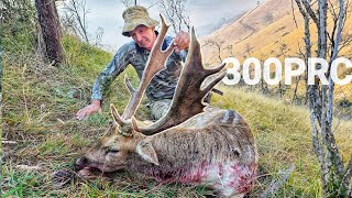 FIRST FALLOW BUCK - Hunting The Rut 2024 by Tony Gillahan 7,114 views 1 month ago 8 minutes, 21 seconds