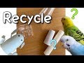 Recycling Foraging Toys