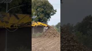 Sam zobacz jak szybko wysypuje buraki ten kombajn 😂 #nowakowski #rolnictwo