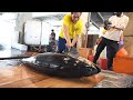 Amazing Giant bluefin tuna cutting Master, Luxurious Sashimi