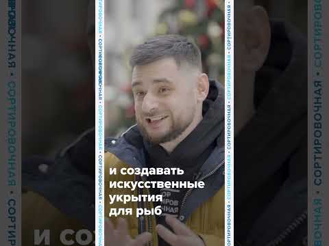 В Стокгольме живые ёлки идут на дно