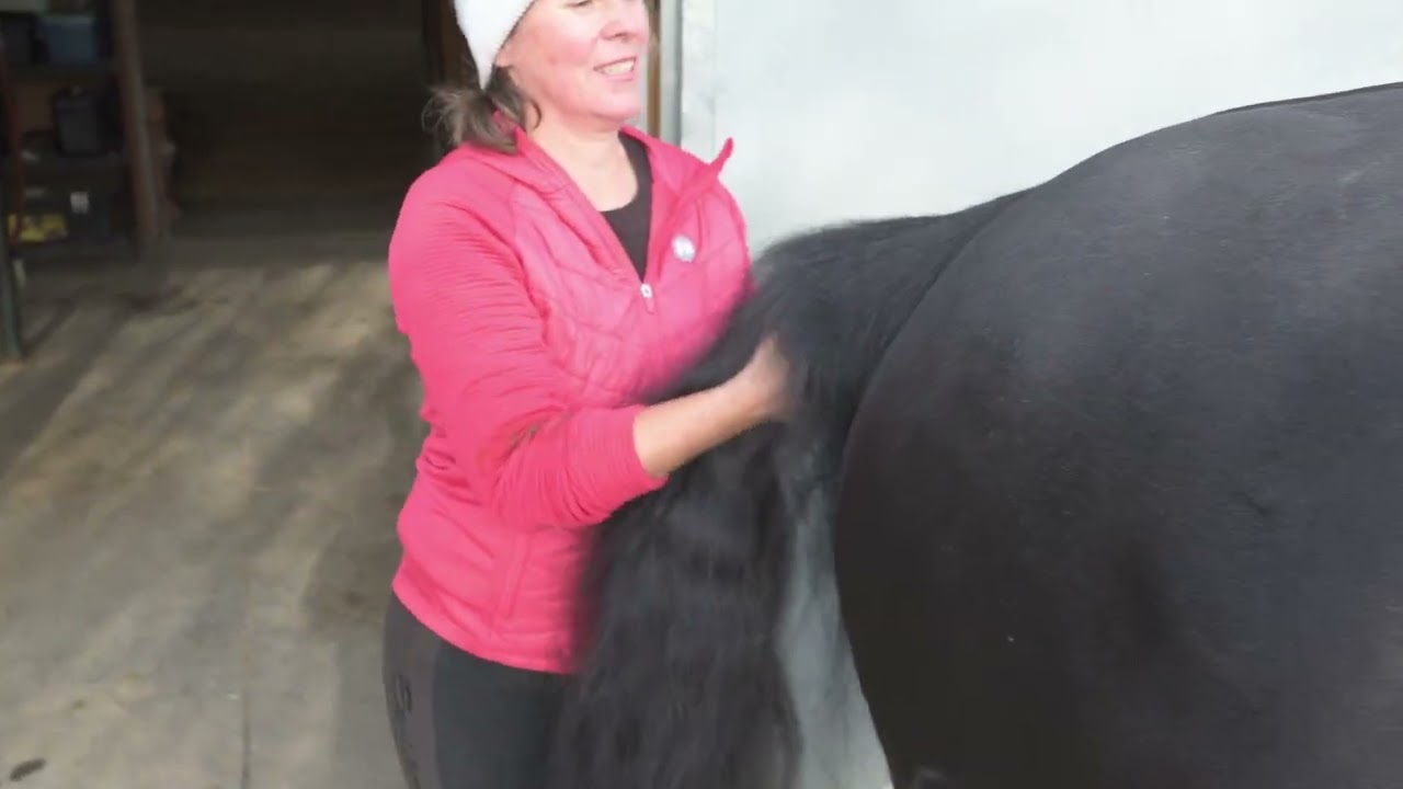 Rücken Lösen vor und nach dem Reiten