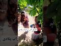 افریقن آنٹی نے شراب پلادی