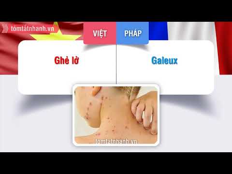 Video Những từ ngữ vay mượn mà ta cứ ngỡ là thuần Việt - youtube
