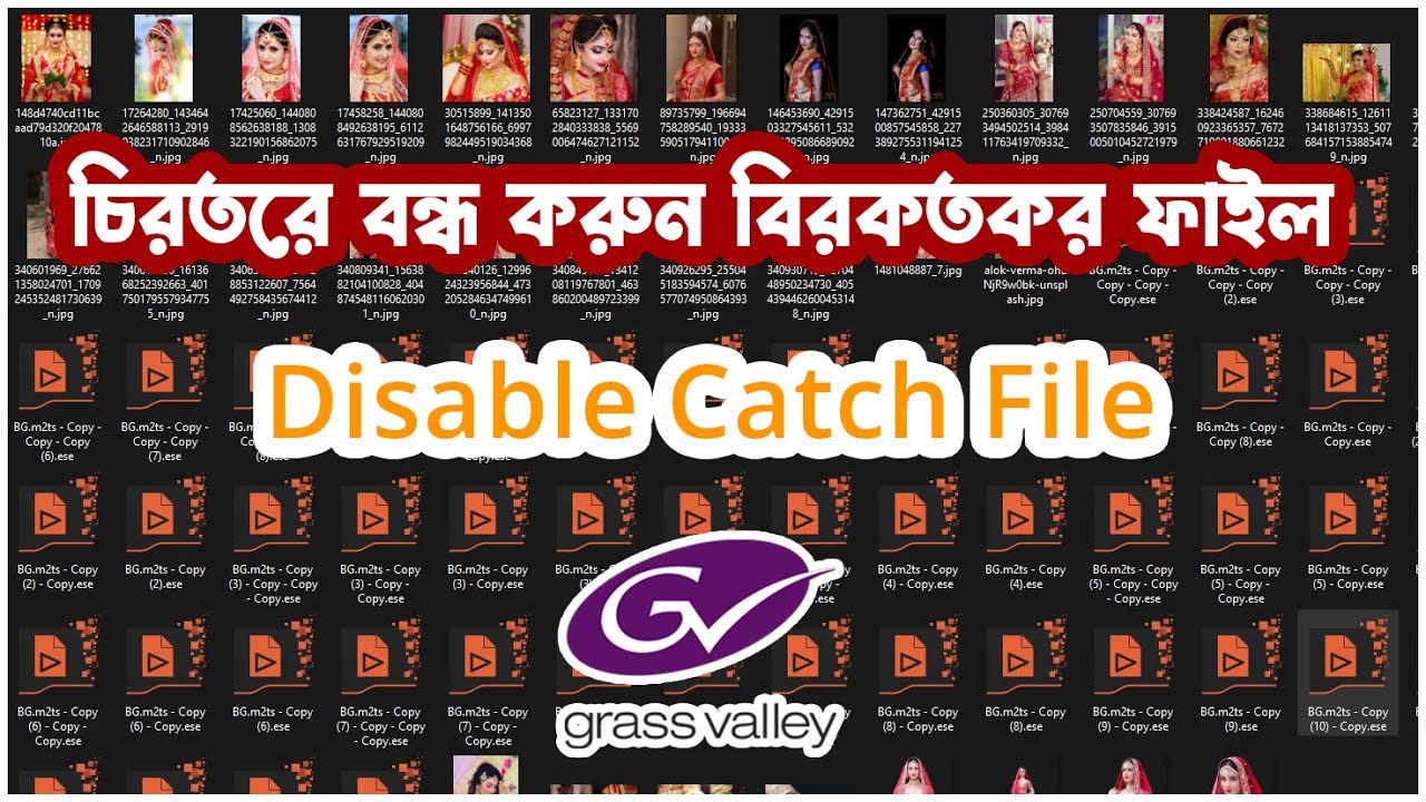 Edius Waveform Cache Clip How to Disable Bangla Tutorial YouTube