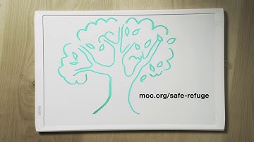 The root causes of migration | MCC