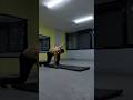 Scorpion Challenge Freestyle Gymmotivation Fitnessjourney Fitness Shorts 