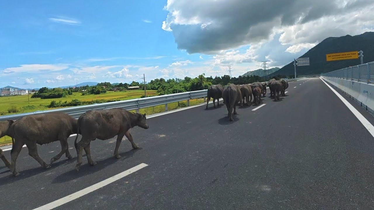 Vẫn chưa thông xe cao tốc BẮC NAM (đoạn CỔ MÃ) - không biết làm chừng nào xong nữa - rất là lâu 