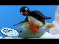 Pingu And His Family Learn About The World! @Pingu - Official Channel Cartoons For Kids