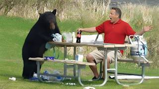 Animals Catch Humans By Surprise In The Most Hilarious Ways🤣