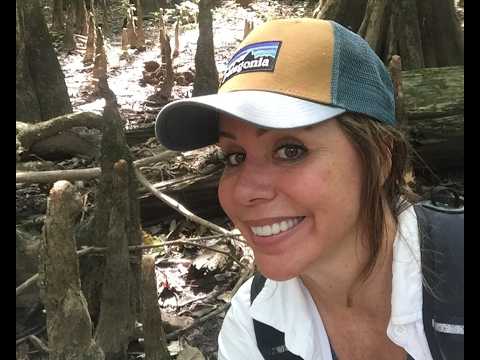 Wetland Wanderer Episode #3: Congaree National Park