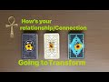 How’s your relationship/ connection going to transform 🪽🪽🪽