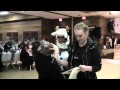 Malanka 2015 Skit Malanka 2015 Skit