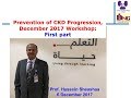 Prevention of CKD Progression, December 2017 Workshop: First part. Prof. Hussein Sheashaa