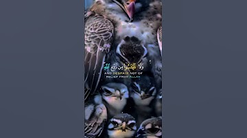 #تلاوة_خاشعة #اكسبلور #قرآن #دويتو #تيك_توك #متابعه #راحة_نفسية #لايك