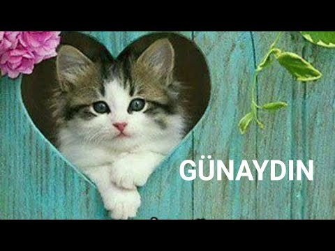 EN YENİ 💕 GÜNAYDIN MESAJI 💕 PAZAR GÜNÜ 💕 KISA 💕 RESİMLİ 💕 VİDEOLU 💕 WHATSAPP DURUM